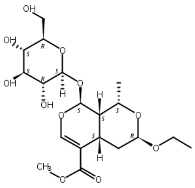 7-O-乙基莫诺苷