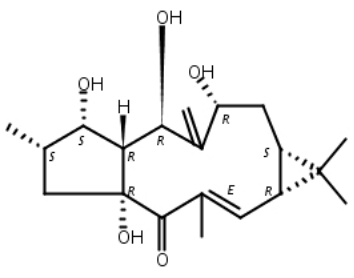 7-羟基千金子二帖醇