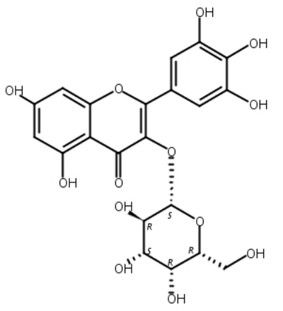 杨梅素-3-O-半乳糖苷