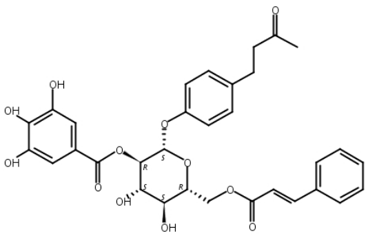 4′-羟基苯基-2-丁酮-4′-O-B-D-(2′′-O-桂皮酰-6′′-O-没食子酰葡萄糖苷