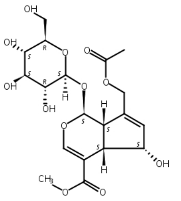 车叶草苷酸甲酯