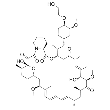 Everolimus