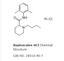 Bupivacaine HCl