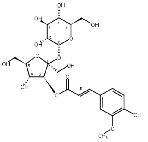 西伯利亚远志糖A5