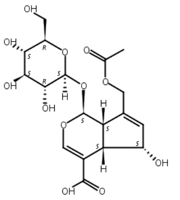 车叶草苷酸