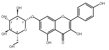 山奈酚-7-O-Β-D-葡萄糖苷