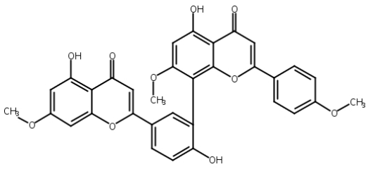 橡胶树双黄酮