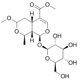 7-O-甲氧基莫诺苷;7-O-Methyl morroniside;CAS:41679-97-4