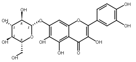 槲皮万寿菊素-7-O-β-吡喃葡萄糖苷