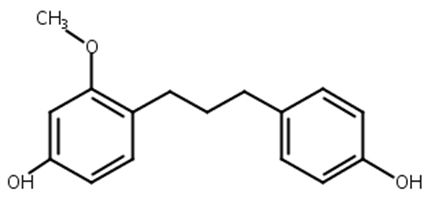 构树宁B