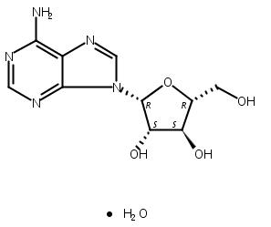 阿糖腺苷 一水物