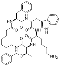 Somatostatin Antagonist