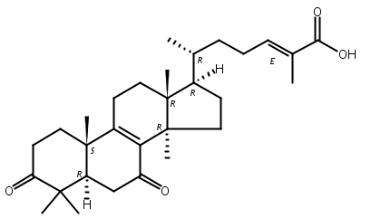 灵芝酸DM