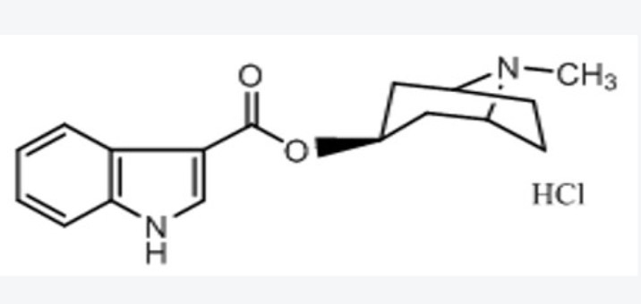 盐酸托烷司琼-β-异构体