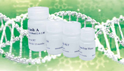 Brdu细胞增殖检测试剂盒(IHC法)