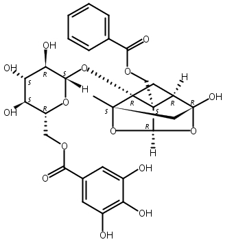 没食子酰芍药苷