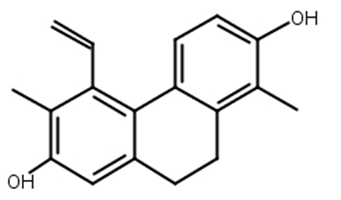 灯心草酚