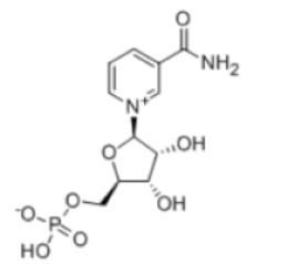 β-烟酰胺单核苷酸-烟酰胺单核苷酸