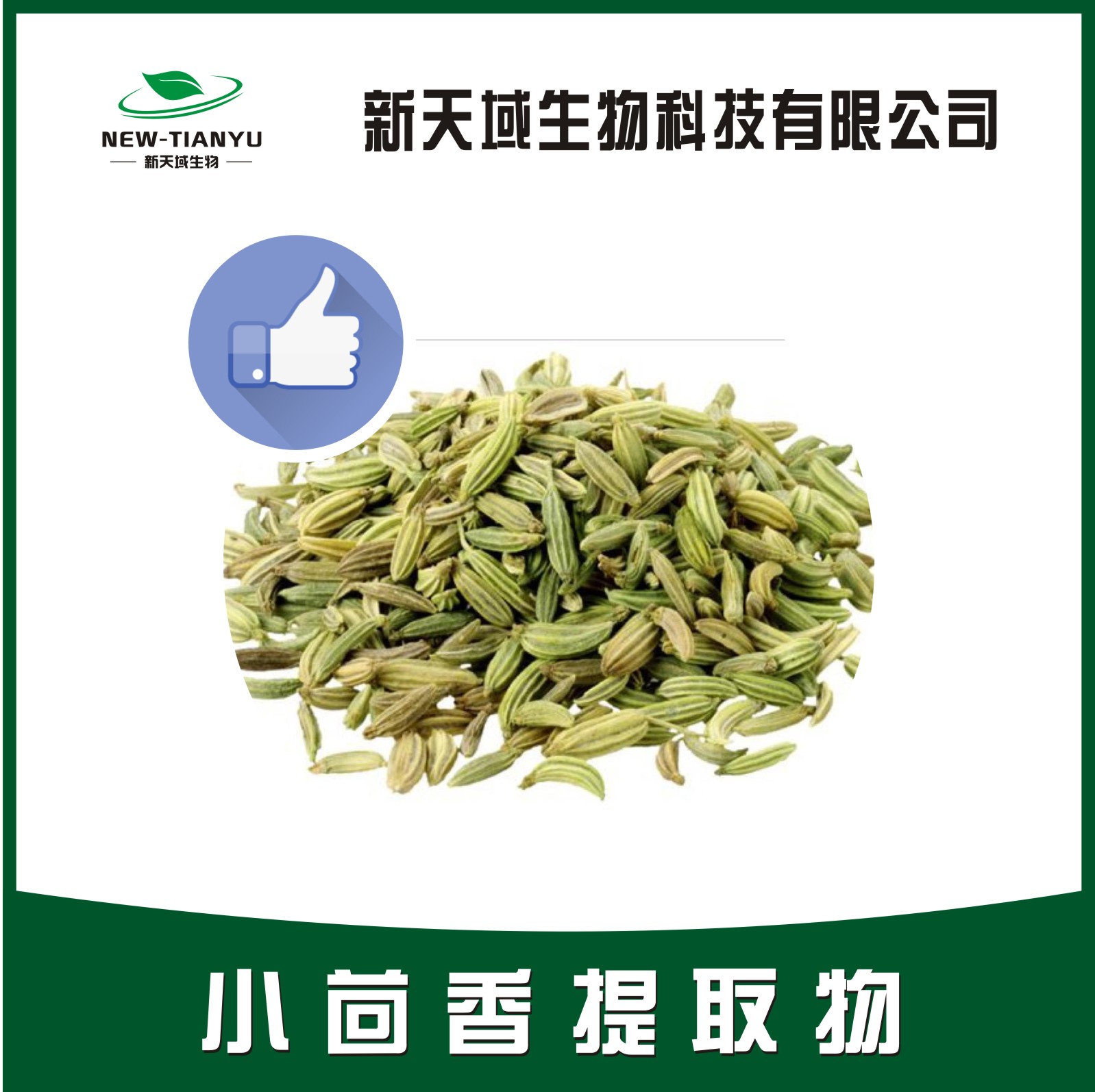 小茴香提取物