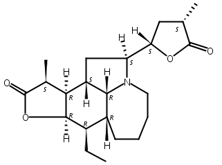 新对叶百部碱