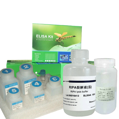 PKCβ抑制剂(Enzastaurin)
