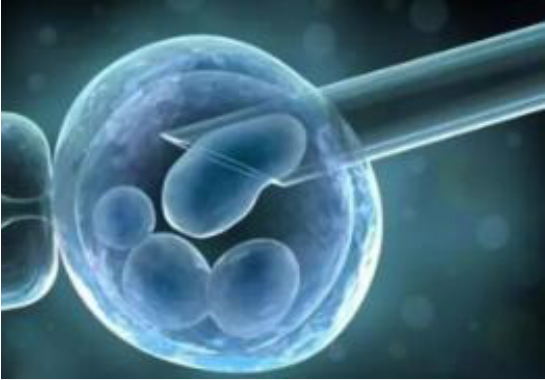 A3adenosine受体激动剂(2-Cl-IB-MECA)