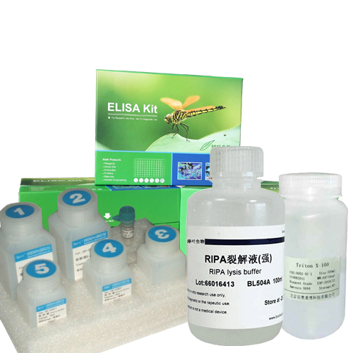 estrogen receptor调节剂和liver X receptor激动剂（27-Hydroxycholesterol）