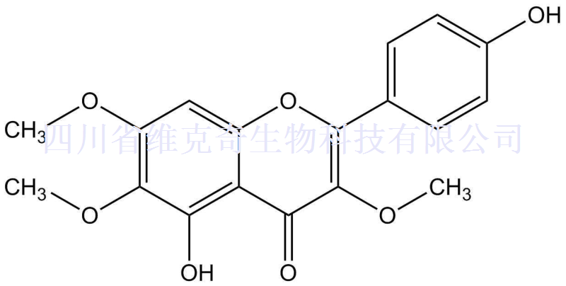 垂叶黄素