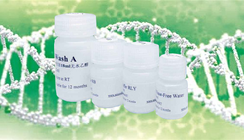 src家族抑制剂（1-Naphthyl PP1 hydrochloride）