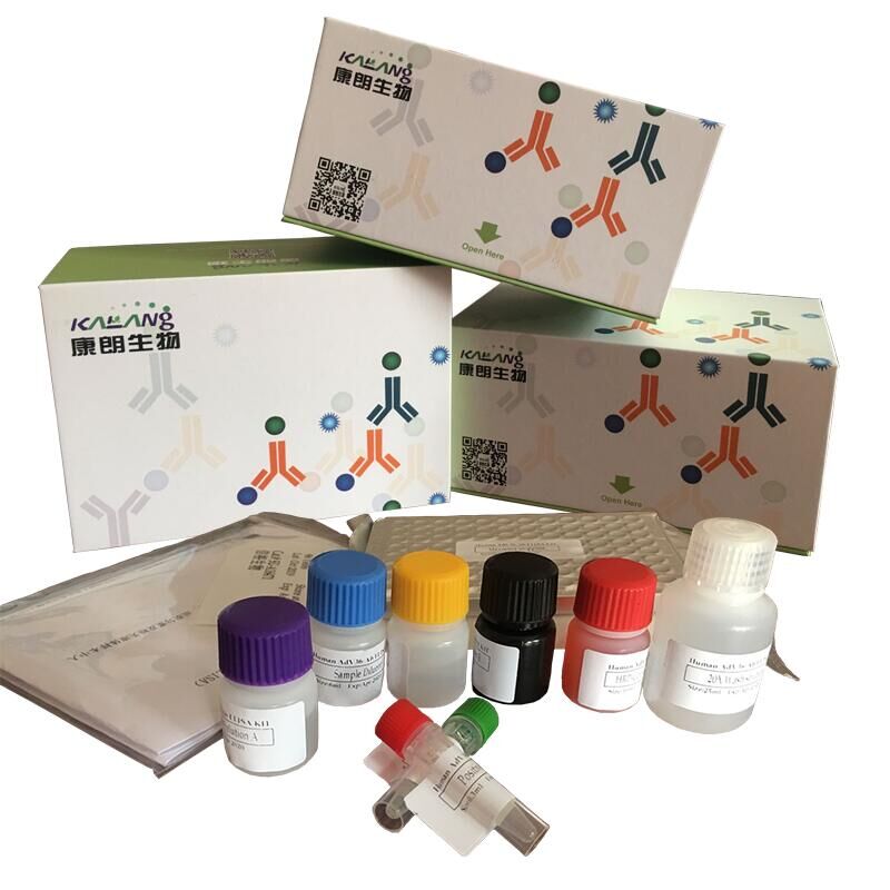 人白细胞介素19酶联免疫试剂盒