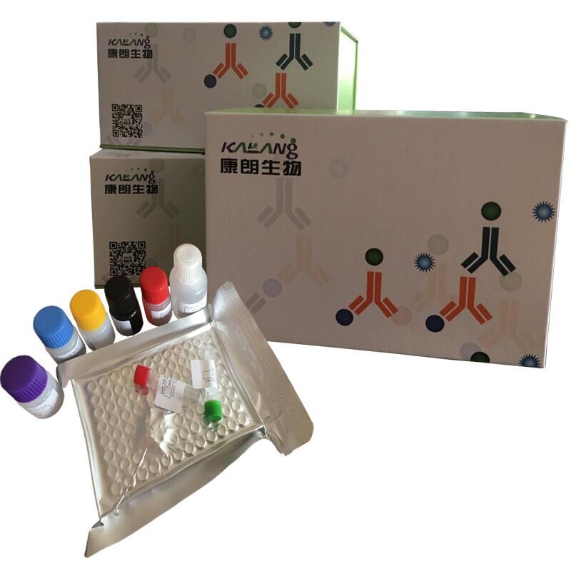 小鼠趋化因子CXCL15酶联免疫试剂盒