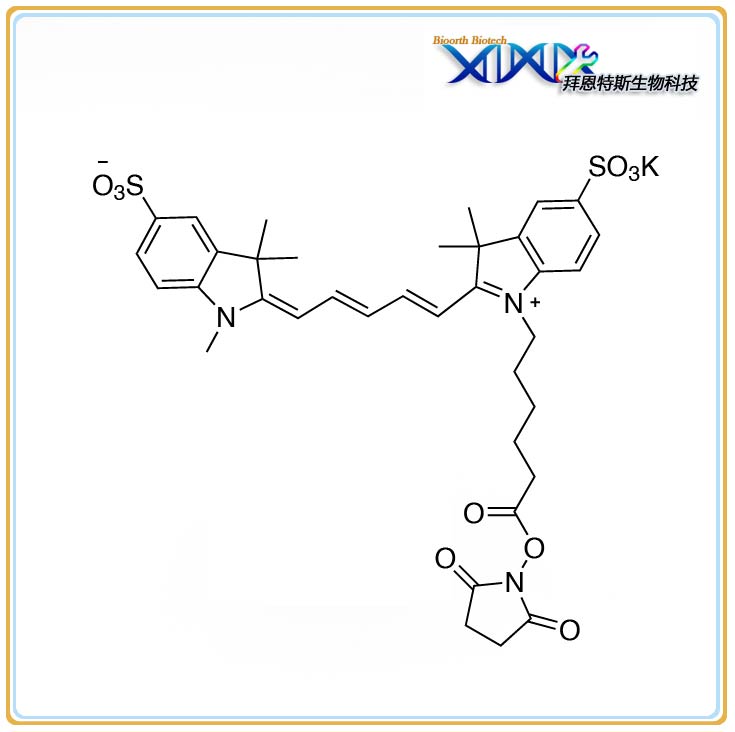 Sulfo-Cy5 NHS Methyl type| Lumiprobe 同款