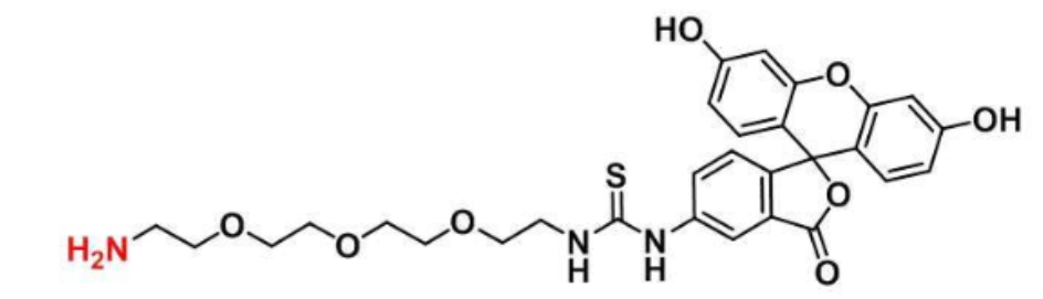 荧光素-三聚乙二醇-氨基,5-FITC-PEG3-Amine