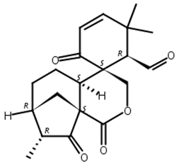 表毛萼甲素