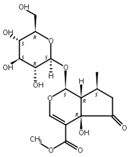 戟叶马鞭草苷