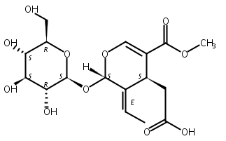 木樨榄苷-11-甲酯