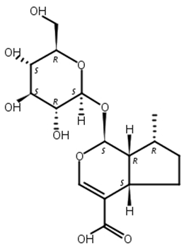 8-表去氧马钱酸