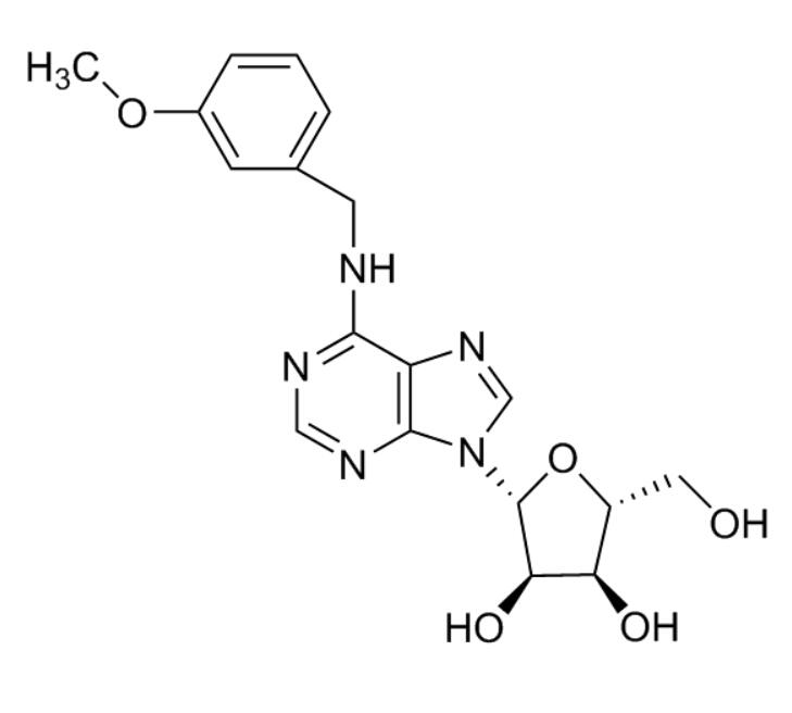 “Meta-Methoxy Topolin Riboside”101565-95-1高纯原料供应
