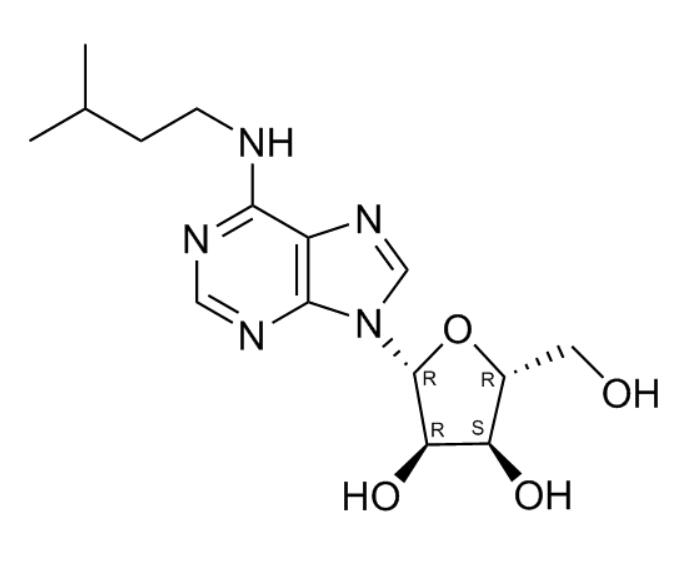 “N-(3-甲基丁基)腺苷”17659-78-8高纯原料供应