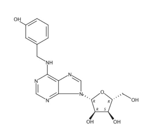 Meta-Topolin Riboside(mTR)