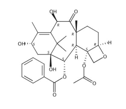 7-脱氧-10-DAB Ⅲ