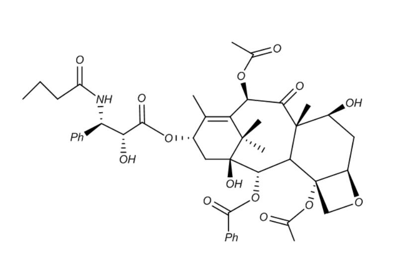 紫杉醇USP杂质 N-Propyl analog