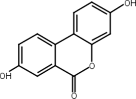 尿石素A