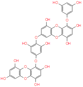 二鹅掌菜酚