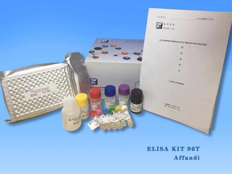 小鼠游离三碘甲状腺原氨酸(Free-T3)ELISA试剂盒