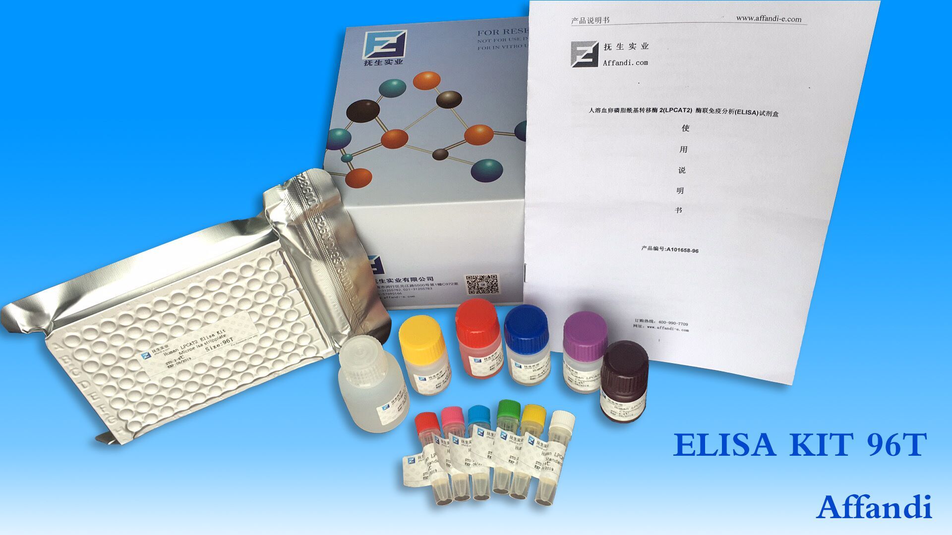 小鼠γ干扰素(IFNγ)ELISA试剂盒