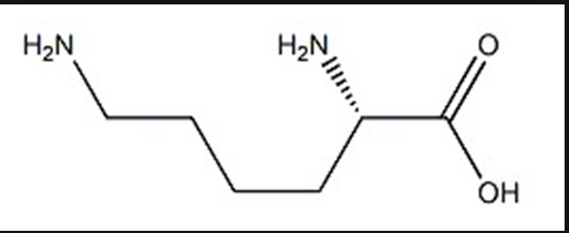 DL-赖氨酸