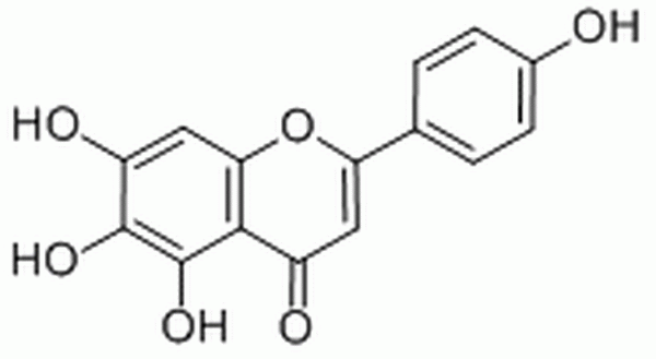 野黄芩素