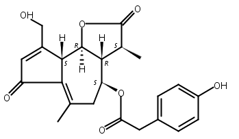 11β,13-二氢山莴苣苦素