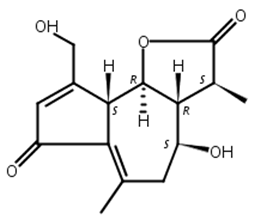 11β,13-二氢山莴苣素